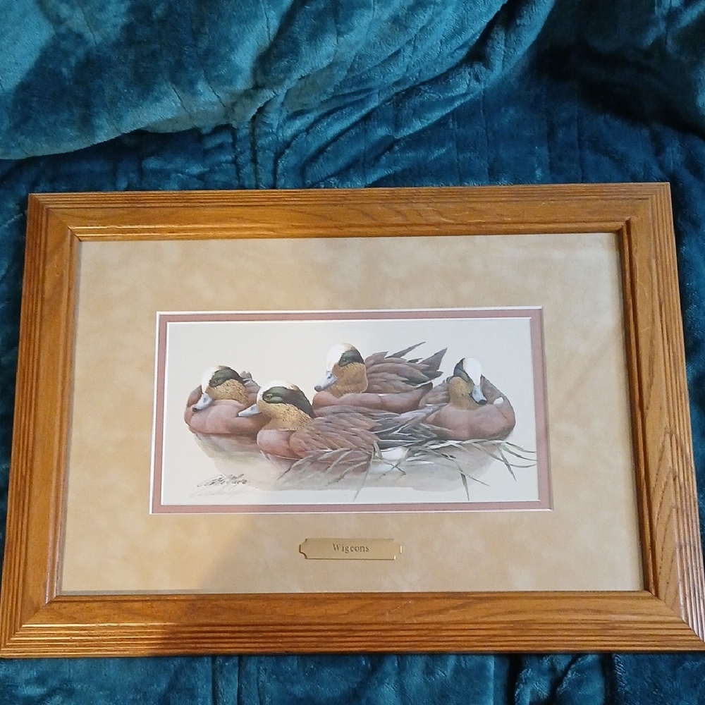 Framed Duck Print Wall Art in Oak Frame KS4PM-8